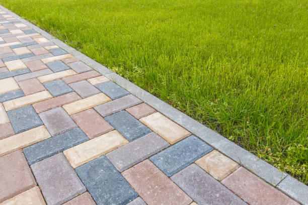 Best Permeable Paver Driveway  in Langdon, ND